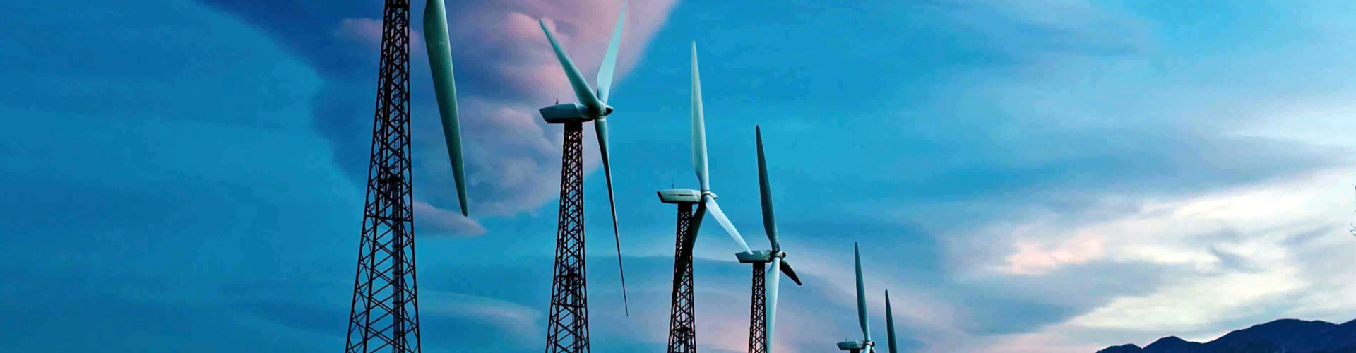 银娱优越会集团（LSI）