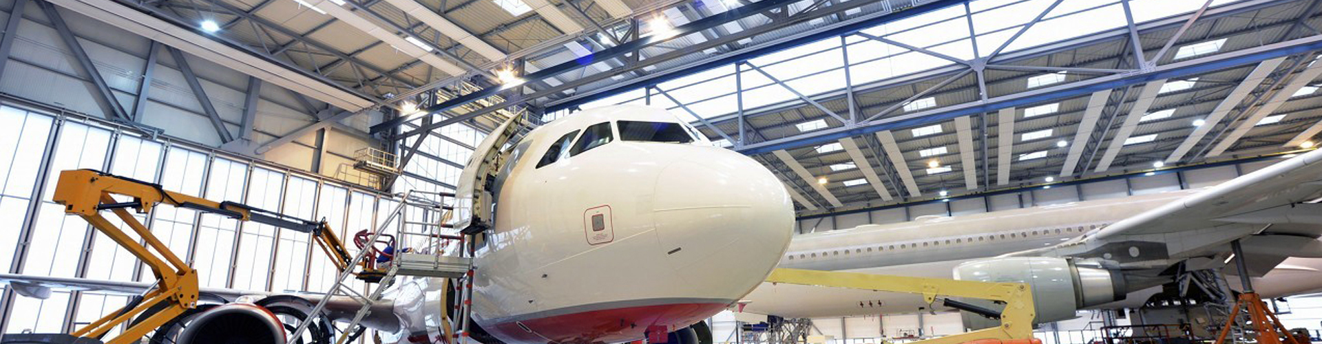 银娱优越会集团（LSI）